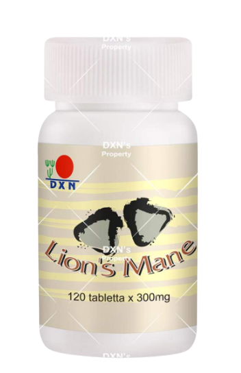 Crinière de lion produit